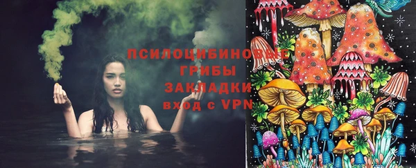 бошки Губаха