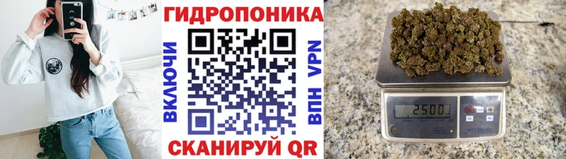Канабис OG Kush  MEGA онион  Сокол 